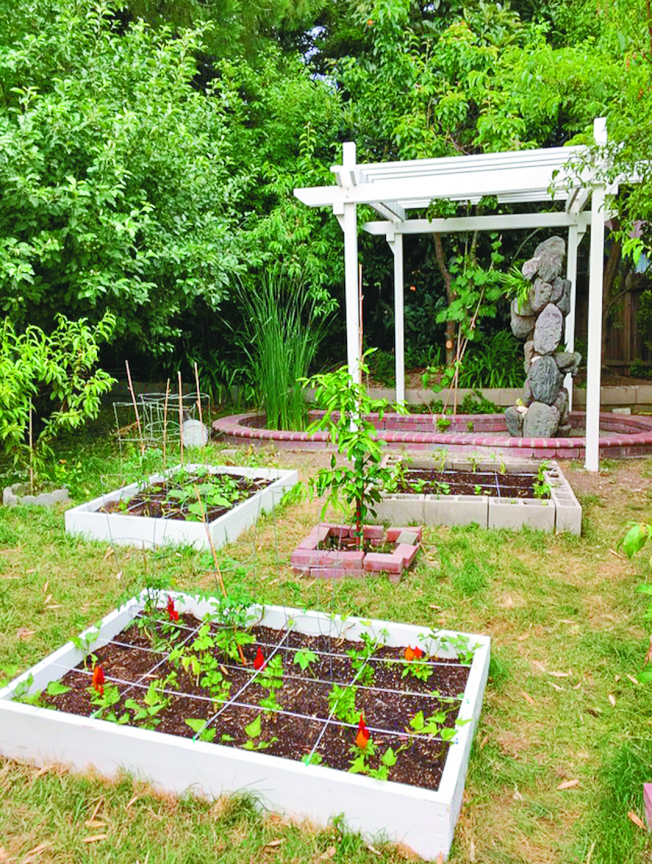 作者家的一米菜园，种植箱用绳子划成十几个小格子。