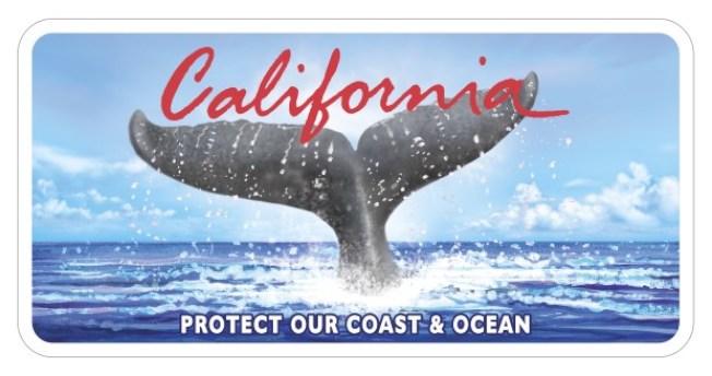 艺术家Bill Atkins所设计的鲸鱼尾巴汽车牌照，是加州最受欢迎的特殊汽车牌照之一。（网络照片）