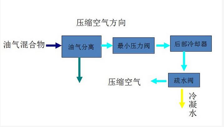 排气系统